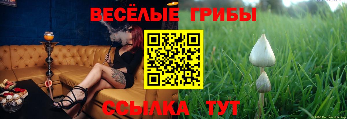 как найти наркотики  Псилоцибиновые грибы Magic Shrooms  Вход с VPN  Псилоцибиновые грибы Cubensis  Красноуфимск 